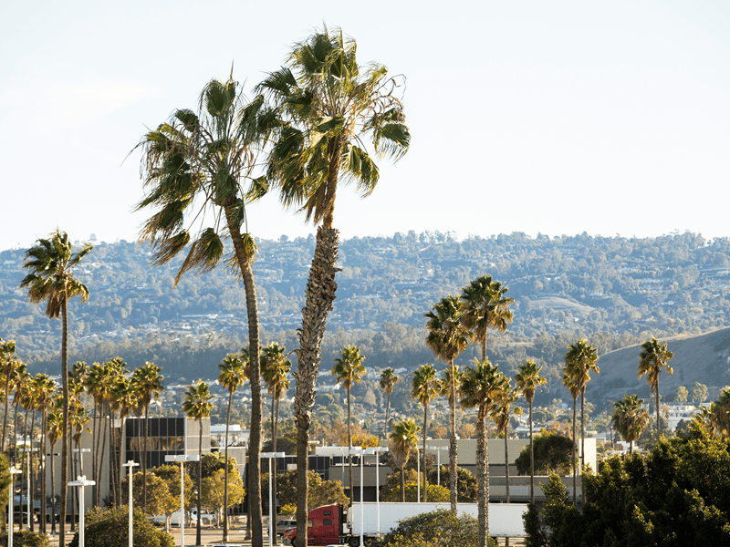 - Tranquil A picure of the City of Long Beach representing our mobile massage services in Torrance, CA